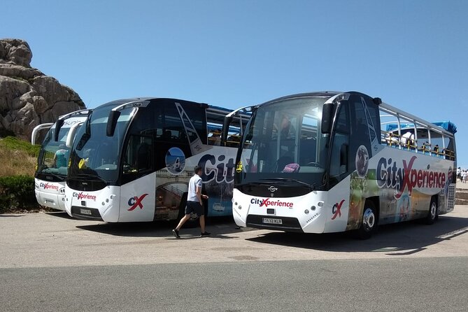 Visit to Soller and Valldemossa - Overview of the Tour