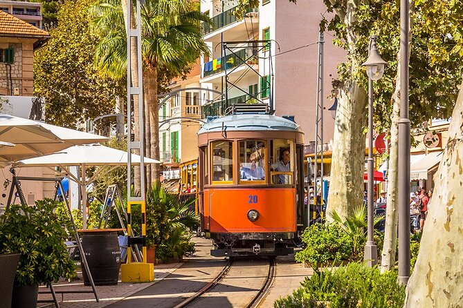 Visit to Soller and Valldemossa - Transportation Experience