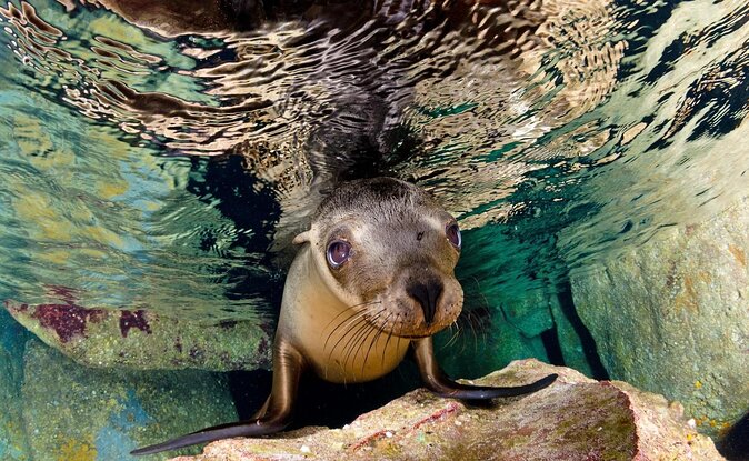 Visit to Spanish Island * (San Cristobal) * - About Your Stay