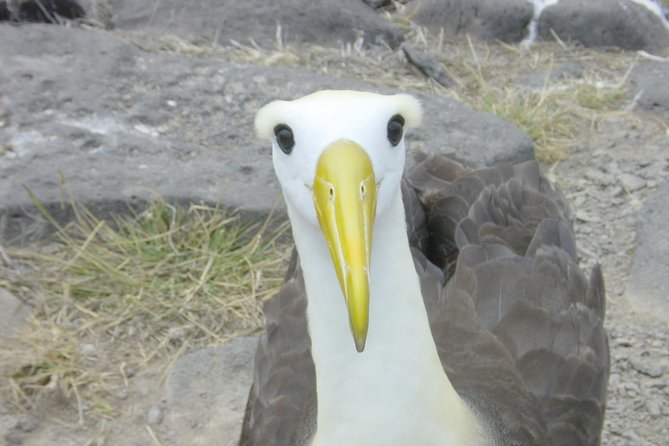 Visit to Spanish Island * (San Cristobal) * - Activity Schedule