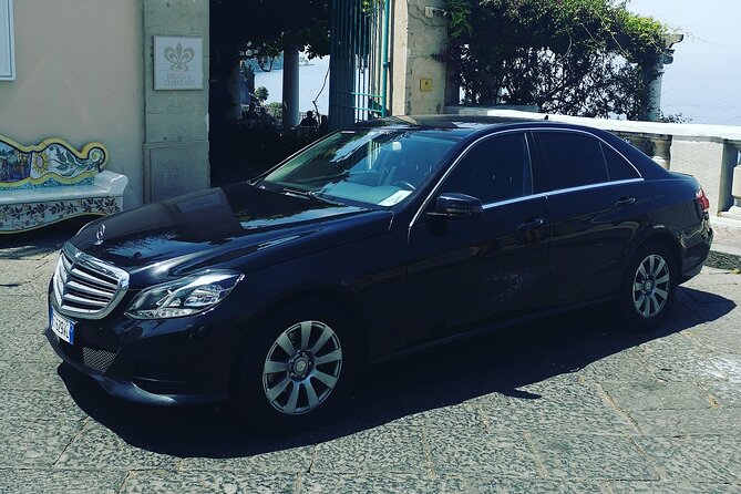 Visit to the Archaeological Park of Herculaneum - Accessibility and Requirements