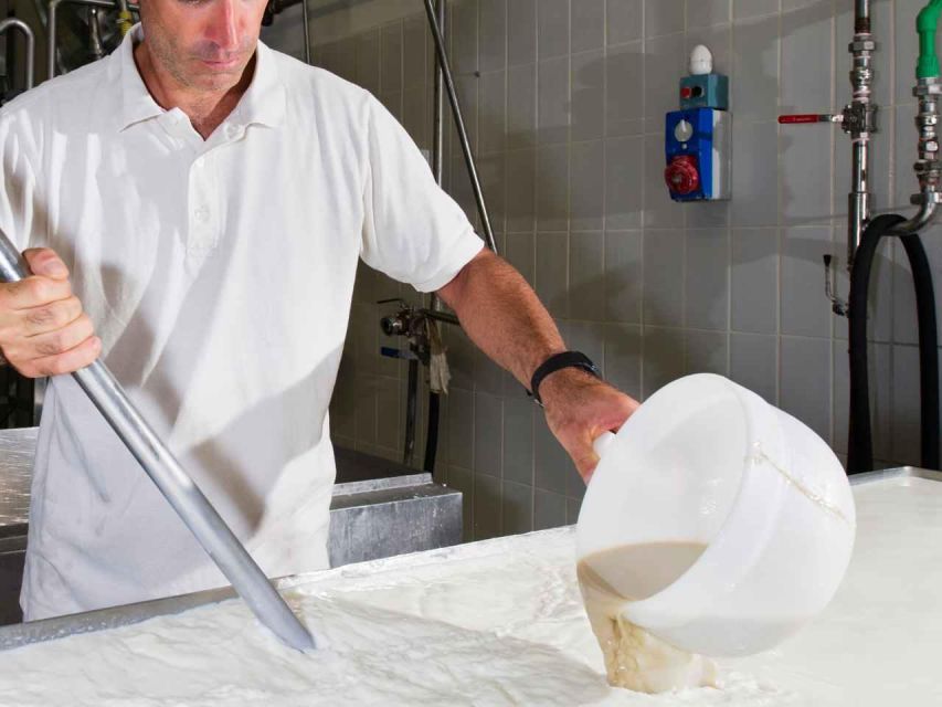 Visit to the Dairy in Paestum With Lunch - Pricing Details and Reservations