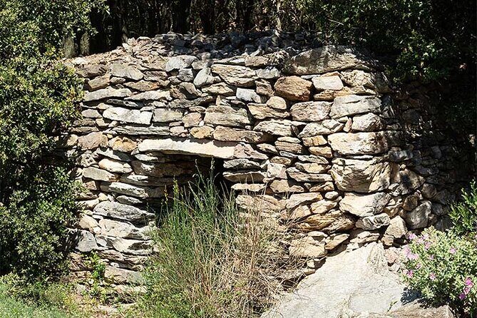 Visit to the Faugères Vineyards with Picnic from Béziers - Exploring the Faugères Vineyards Tour: A Deep Dive
