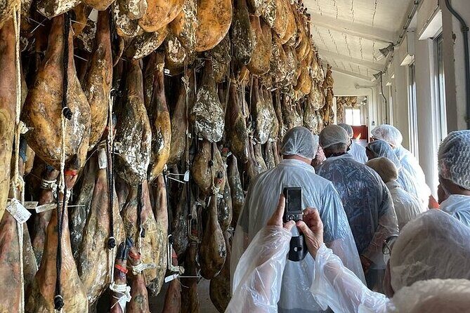 Visit to the Ham Factory in Salamanca. Tasting and Masterclass - Who Should Consider This Experience?