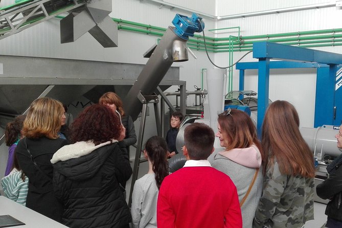 Visit to the Oil Mill With EVOO Experiences in Cuenca - Accessibility Features