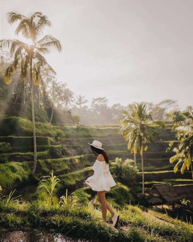 Visit Traditional Village, Waterfall, Coffee & Swing - Final Thoughts