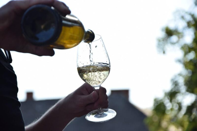 Visit Winery in Guadalest - Learn About Winery History and Terroir
