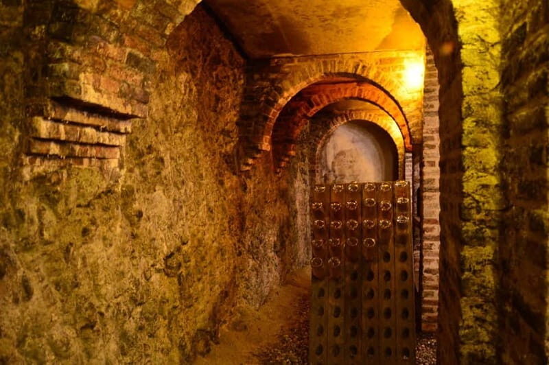 Visita guidata e Degustazione vini Monforte d'Alba - Exploring the Charm of Monforte d’Alba: A Guided Wine and Food Experience