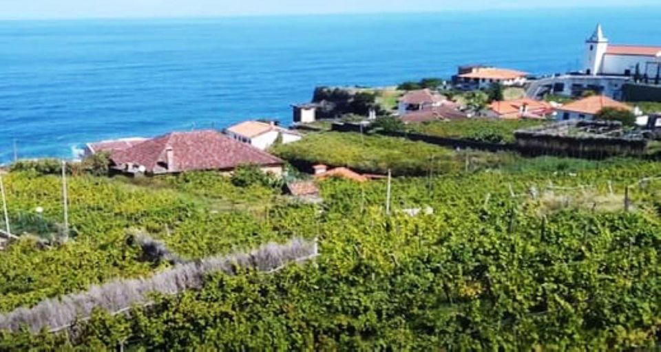 Visiting Local Vineyard With Wine Tasting & Lunch Included - Guided Vineyard Tour