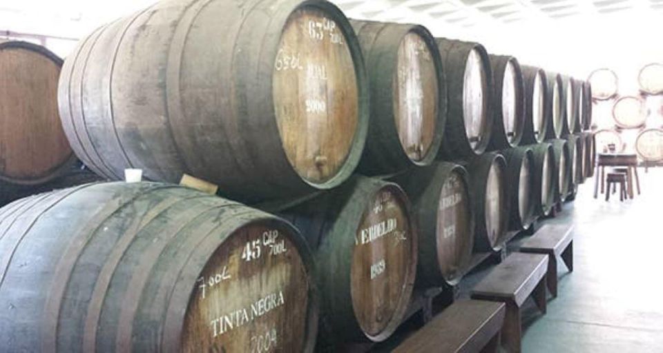 Visiting Local Vineyard With Wine Tasting & Lunch Included - Traditional Madeiran Lunch