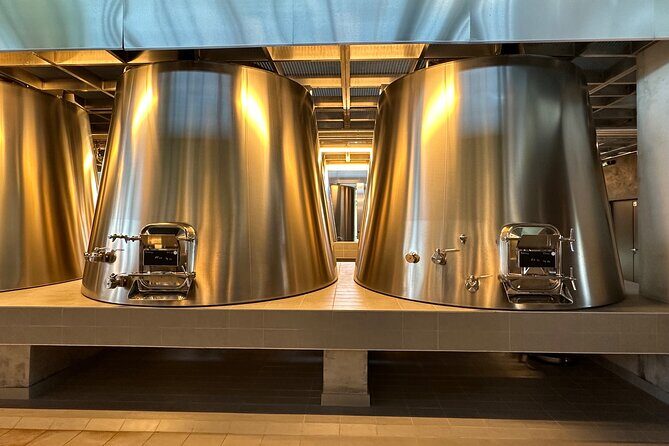 Visits and Tastings in the Médoc in Small Group with Meal - Introduction