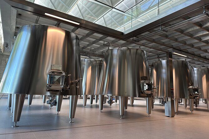 Visits and Tastings in the Médoc in Small Group with Meal - Who Will Love This Tour?