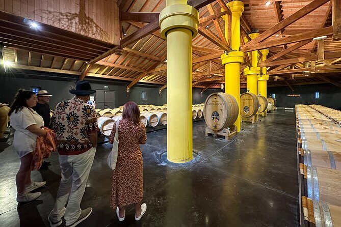 Visits and Tastings in the Médoc in Small Group with Meal - The Sum Up