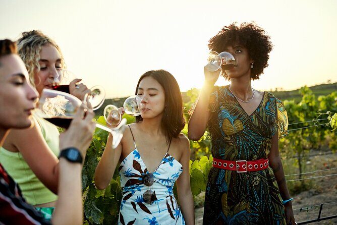 Vistas and Wines: Adelaides Gems and Wine Private Tour - An In-Depth Look at the Adelaide Private Tour Experience