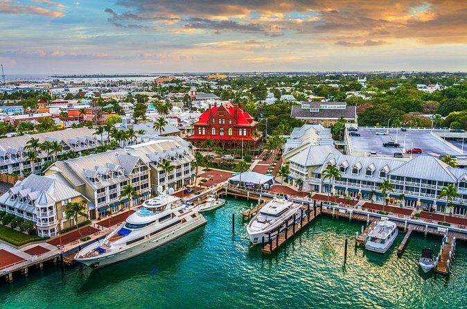 Vitamin Sea Dolphin Safari: Private Key West Charter - FAQs