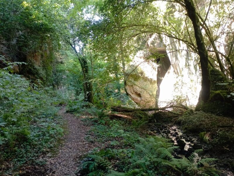 Viterbo: Palanzana Mountain Hike & Natural Reserve - Itinerary Highlights