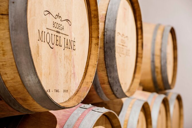 Viticulture and Wine-Tasting 3-Hour Trip From Barcelona - Vineyard and Cellar Experience