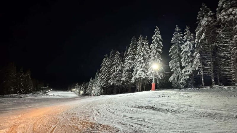 Vitosha: Ski Day Trip by Mountain Stars Ski School - Transportation, Timing, and Group Size
