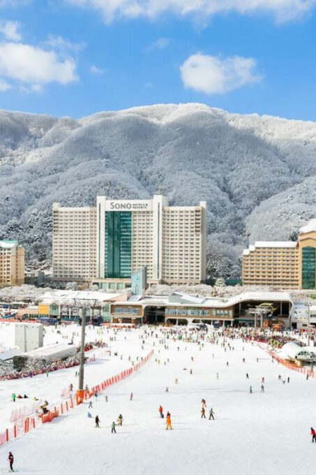 Vivaldi Park_ Ski & Lift Pass (7 Hrs) With Seoul Shuttle - Inclusions and Exclusions