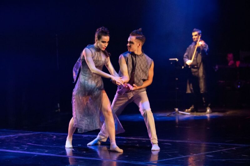 Vivaldianno The Show in Theatre Hybernia - Accessibility and Requirements
