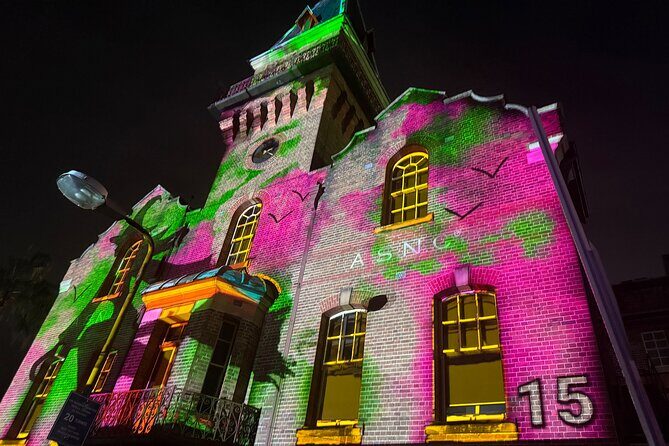 Vivid Sydney Walking Tour Lights, Stories and Secret Spots - Practical Details and Value