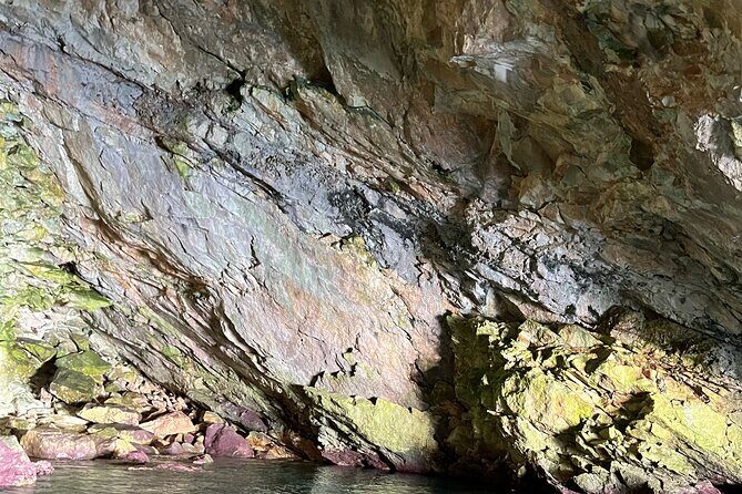 Vlore| Full Day Guided Tour to Grama Bay and Marine Park - FAQ