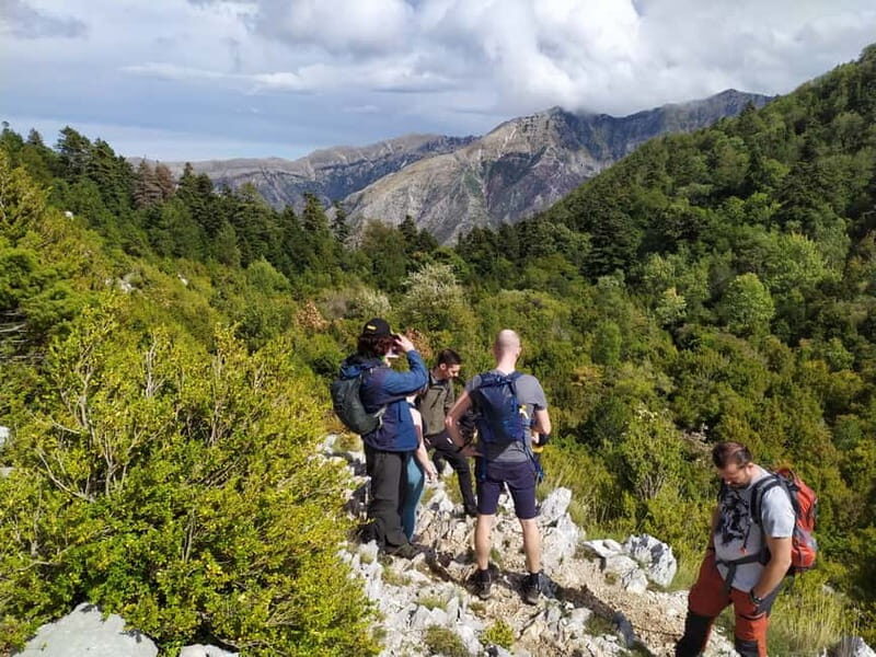 Vlore : Llogara National Park Infocenter to Deep Neck - An In-Depth Look at the Experience
