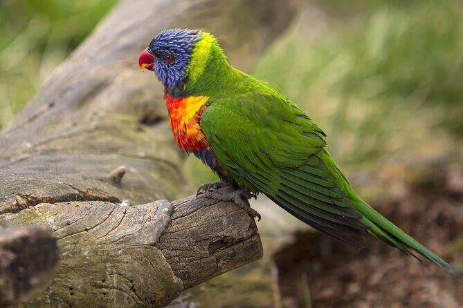 Vltava River Boat Trip and Zoo Entrance Ticket in Prague - Frequently Asked Questions