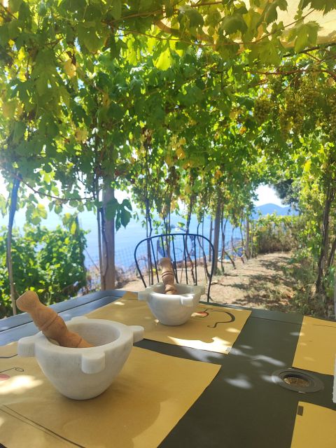 Volastra: BarCa Wine Tasting in Cinque Terre and Pesto Class - Booking Details