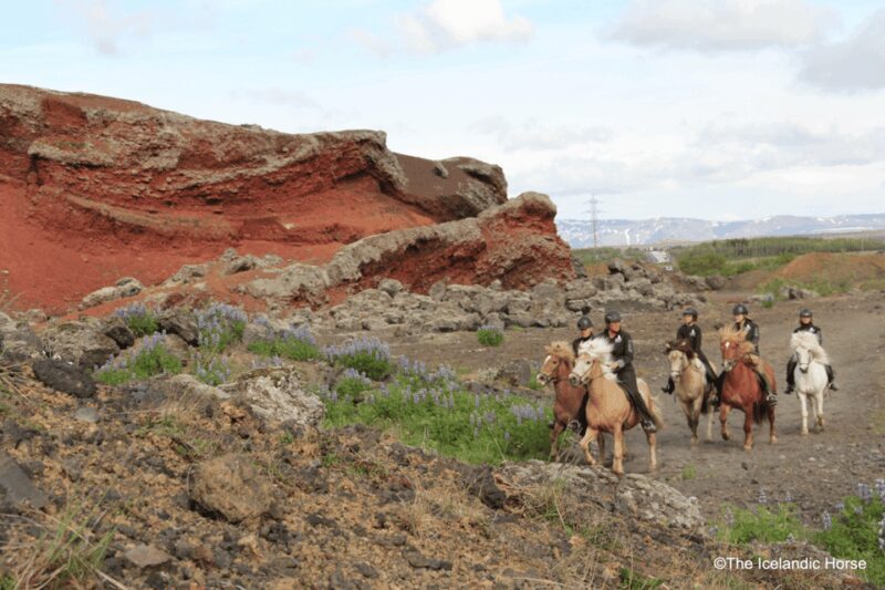 Volcanic Landscape Iceland Horse Riding Tours - Key Points