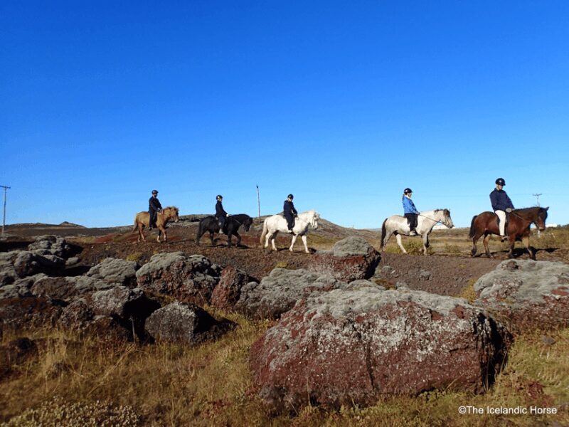 Volcanic Landscape Iceland Horse Riding Tours - The Experience: What to Expect from Start to Finish