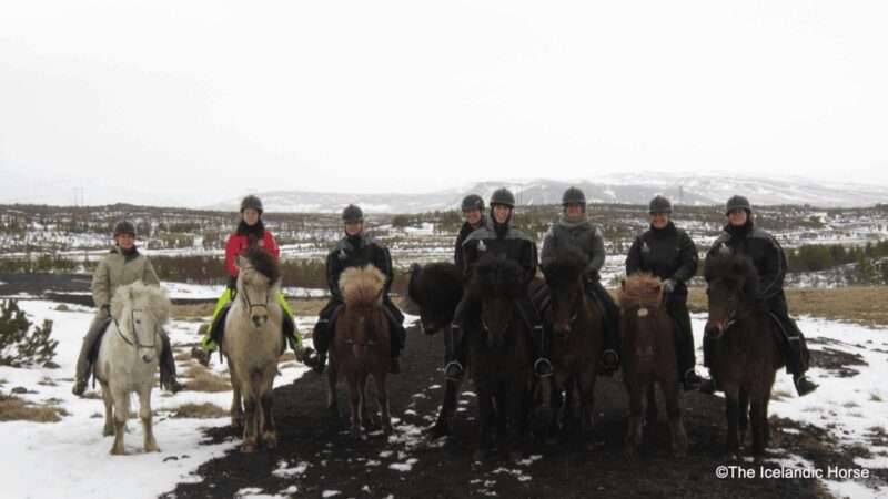 Volcanic Landscape Iceland Horse Riding Tours - Final Thoughts
