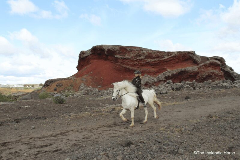 Volcanic Landscape Iceland Horse Riding Tours - FAQs