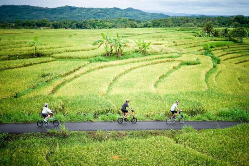 Volcano Bike Tour - Key Points