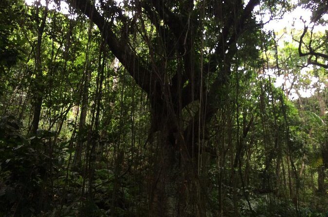 Volcano Crater hike in St Kitts - Frequently Asked Questions