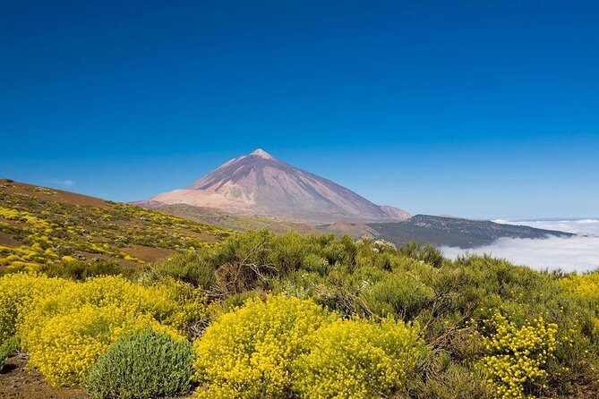 Volcano & Mt Teide Private Tour in Tenerife - Why Choose the Volcano & Mt. Teide Private Tour?  