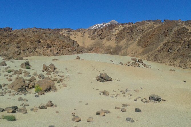 Volcano & Mt Teide Private Tour in Tenerife - Who Will Love This Tour?  