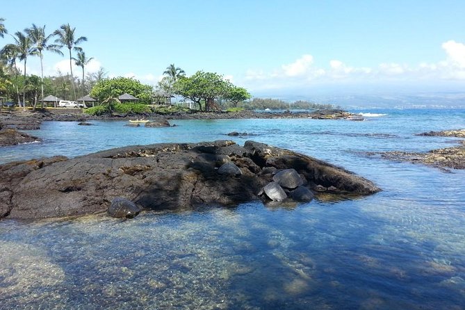 Volcanoes Adventure Tour From Hilo - Experience and Traveler Feedback