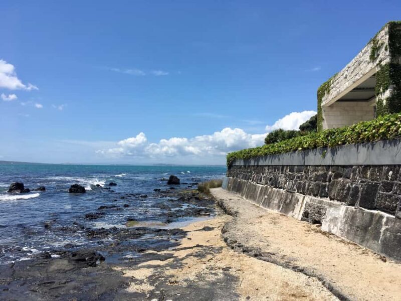 Volcanoes, Coast & Secret Spots Afternoon Tour from Auckland - Final Thoughts