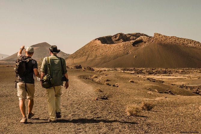 Volcanos of Lanzarote Hiking Tour - Key Points