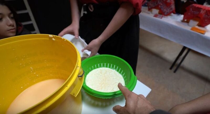 Volendam: 2.5-Hour Cheesemaking Workshop & Clog Making Tour - Experience Highlights