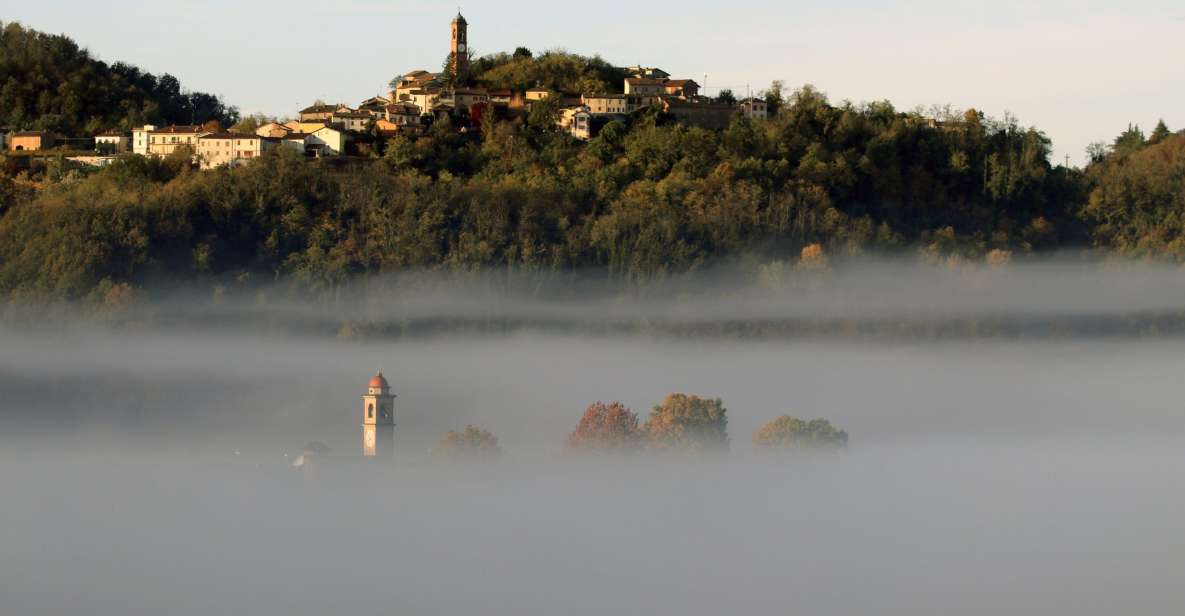 Volpedo: Piedmont Region Wine, Food, and Art E-Bike Day Tour - Key Points