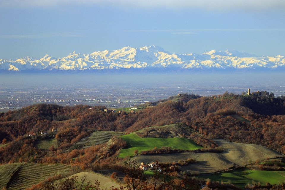 Volpedo: Piedmont Region Wine, Food, and Art E-Bike Day Tour - Highlights of the Tour
