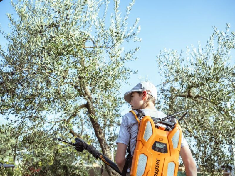 Volterra - Olive oil tasting with lunch or dinner - A Closer Look at the Experience