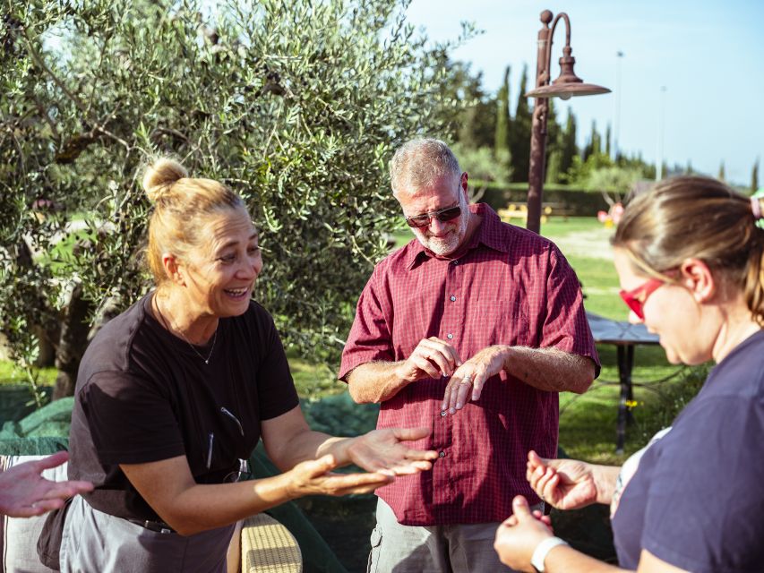 Volterra - Olive Oil Tasting With Lunch or Dinner - Inclusions