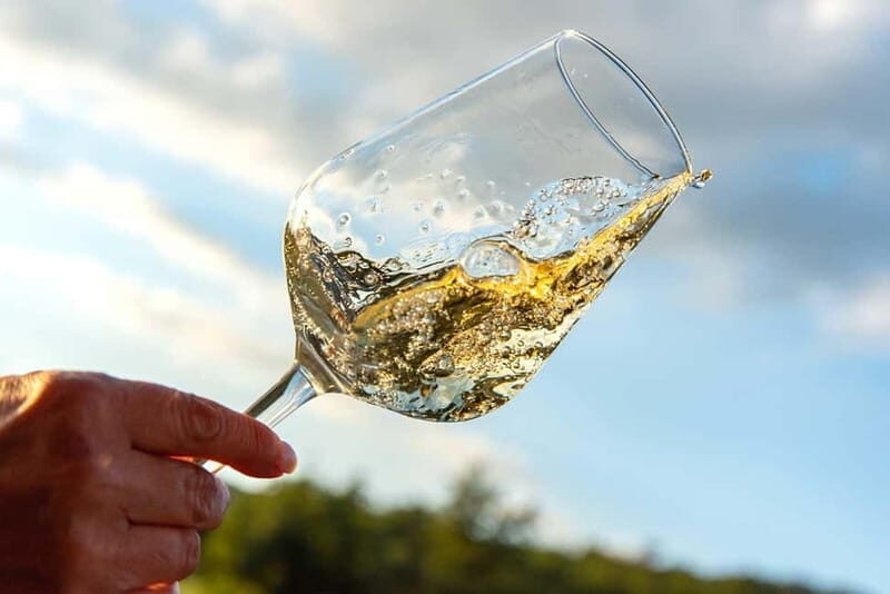 Volterra: Winery Guided Tour and Experience with Tasting - What Makes This Tour Stand Out?