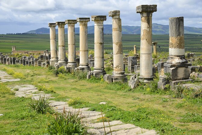 Volubilis, Meknes, Moulay Idriss: Full Day Private Tour From Fes, Morocco - What to Expect