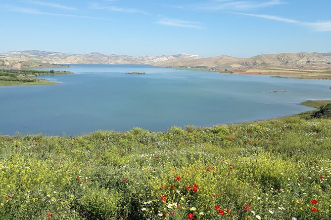 Volubilis, Moulay Idriss and Meknes Day Trip From Fez - Customer Feedback and Tour Reviews
