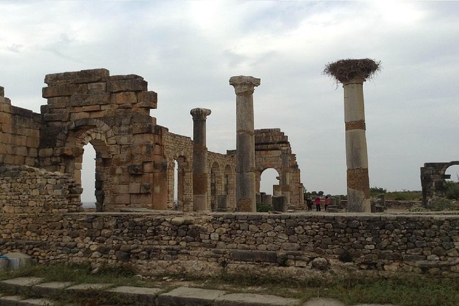 Volubilis, Moulay Idriss & Meknes Excursion From Fez - Included Amenities
