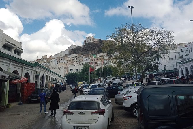 Volubilis,Moulay Idriss and Meknes Day Tour From Fez - Accessibility Features